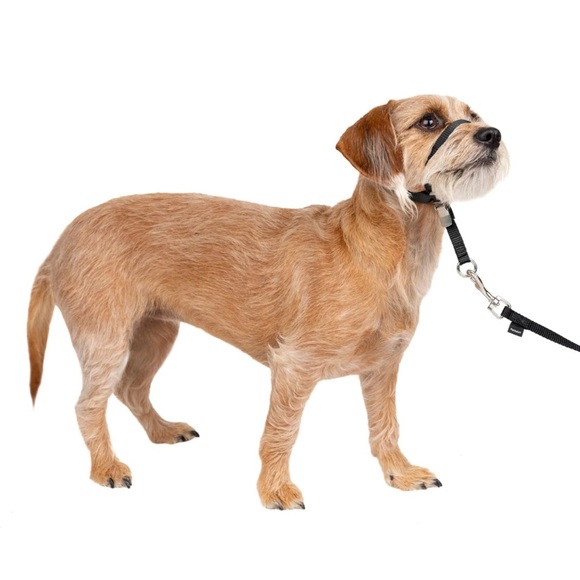 NIB✨ PetSafe Gentle Leader No-Pull Dog Headcollar Halter Harness - Black *3/$15* - Picture 1 of 10